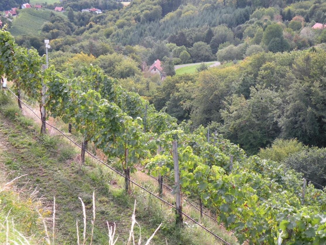 Weingut Albert, Familie Cramer Panzió Kitzeck im Sausal Kültér fotó