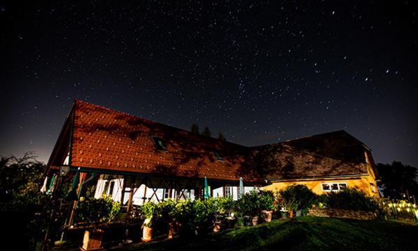 Weingut Albert, Familie Cramer Panzió Kitzeck im Sausal Kültér fotó