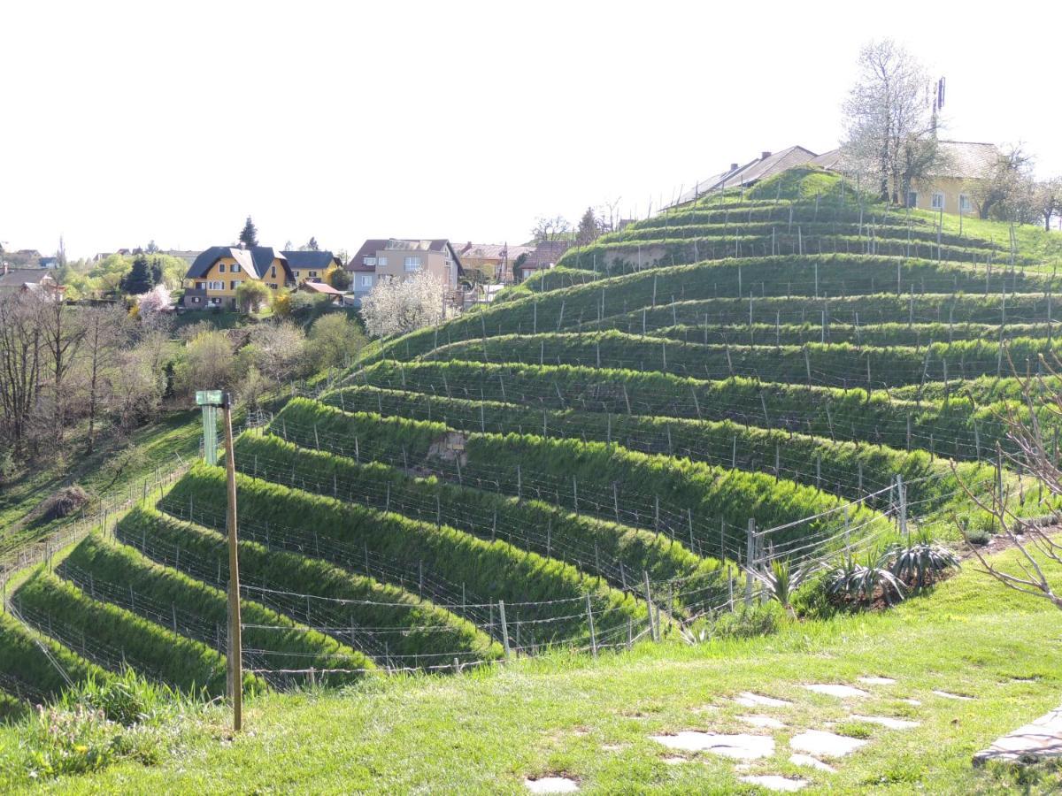 Weingut Albert, Familie Cramer Panzió Kitzeck im Sausal Kültér fotó