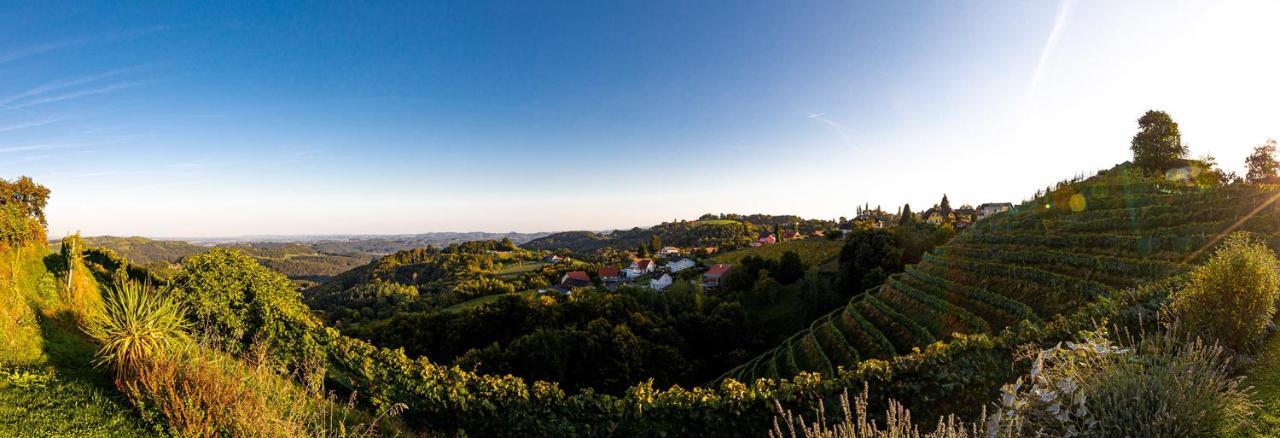 Weingut Albert, Familie Cramer Panzió Kitzeck im Sausal Kültér fotó