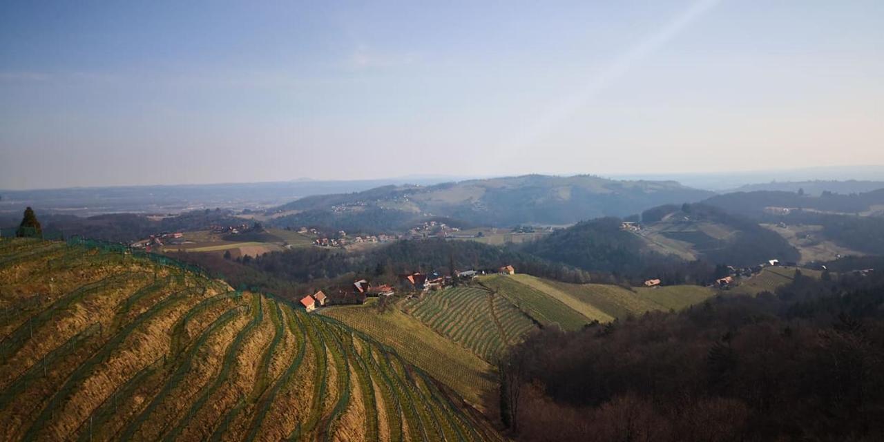 Weingut Albert, Familie Cramer Panzió Kitzeck im Sausal Kültér fotó