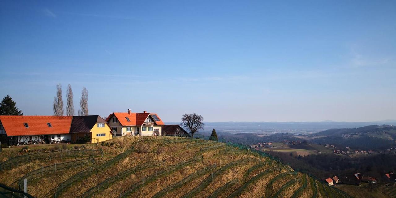 Weingut Albert, Familie Cramer Panzió Kitzeck im Sausal Kültér fotó