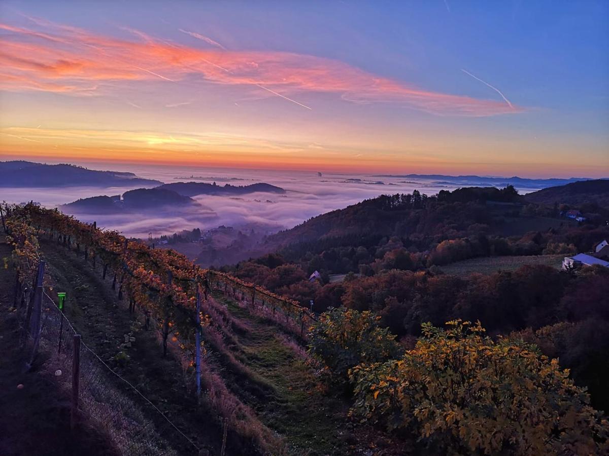 Weingut Albert, Familie Cramer Panzió Kitzeck im Sausal Kültér fotó