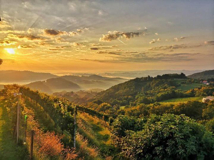 Weingut Albert, Familie Cramer Panzió Kitzeck im Sausal Kültér fotó